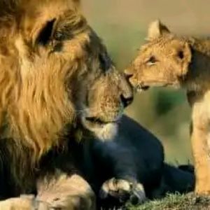 Meet your Posher, Tony